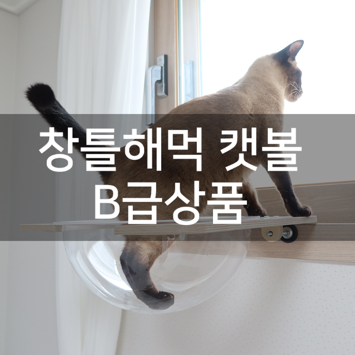 [펫502] 고양이 창틀캣타워 창문해먹 캣볼 (B급 상품)